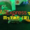 中華製の”パクりルアー”を買ってみた結果・・・