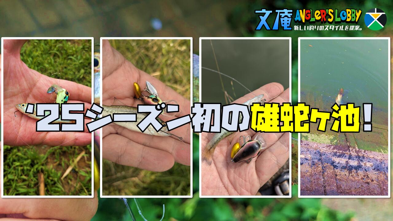 Thumbnail of post image 048