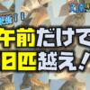 半日で30匹以上釣り上げたのであーる！