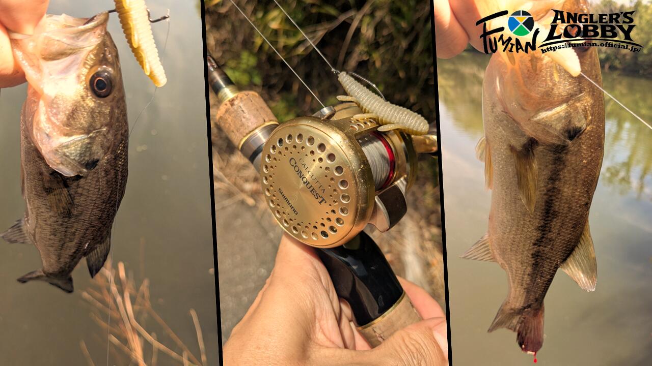 Thumbnail of post image 164